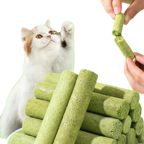 Cat Grass Teething Stick for Teeth and Hairballs (PACK OF 5)