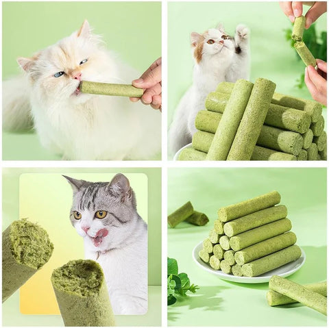 Cat Grass Teething Stick for Teeth and Hairballs (PACK OF 5)