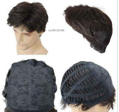 Wig For Medium-elderly Men's