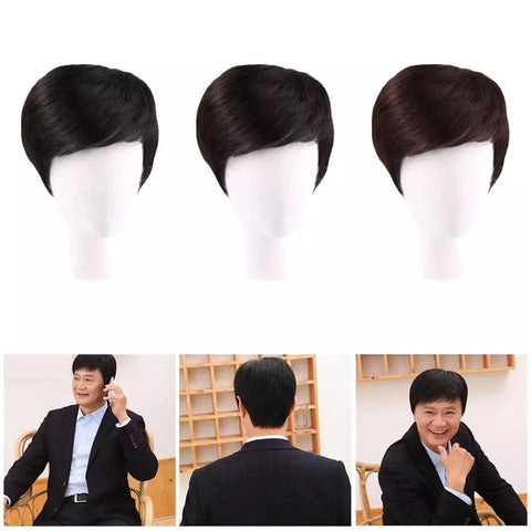 Wig For Medium-elderly Men's